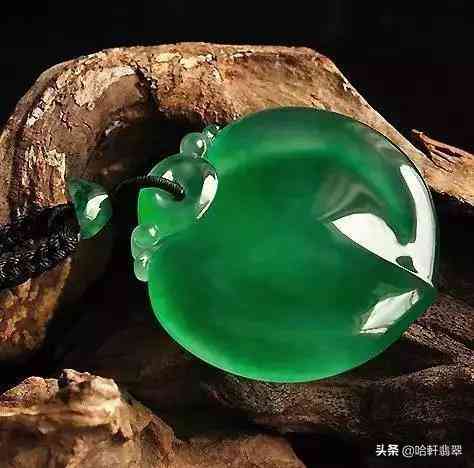 龍石種翡翠是什么檔次(龍石種翡翠欣賞)插圖7
