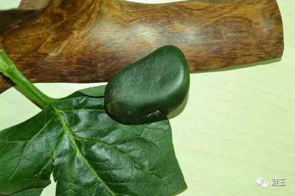 和田玉碧玉屬于什么檔次(和田玉的八個(gè)等級)插圖8