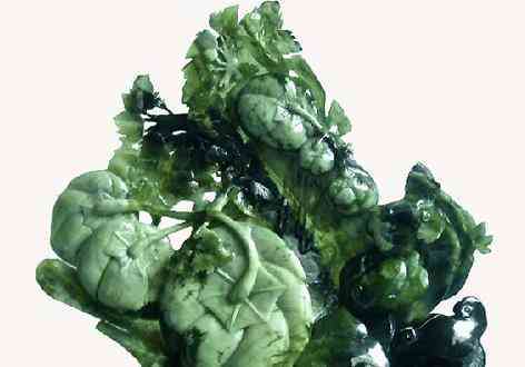 藍(lán)田玉是什么玉(藍(lán)田玉產(chǎn)地是哪里)插圖1