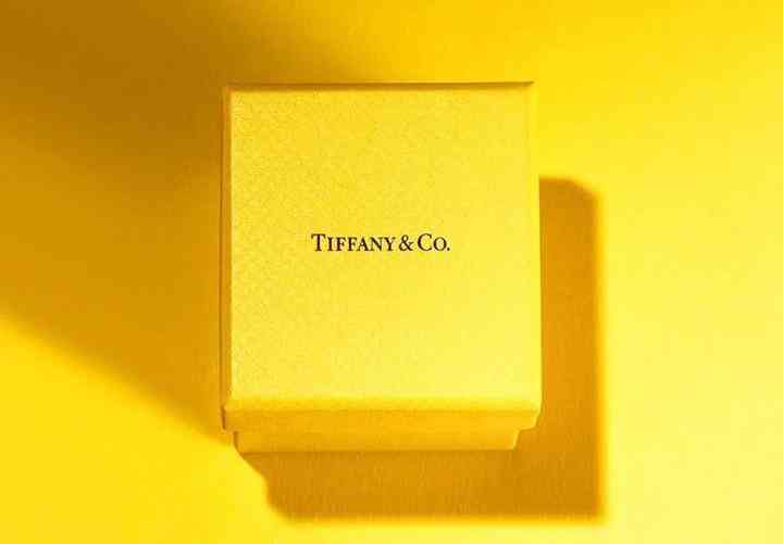 tiffany蒂芙尼項(xiàng)鏈價格(蒂芙尼項(xiàng)鏈多少錢是真的嗎)插圖15