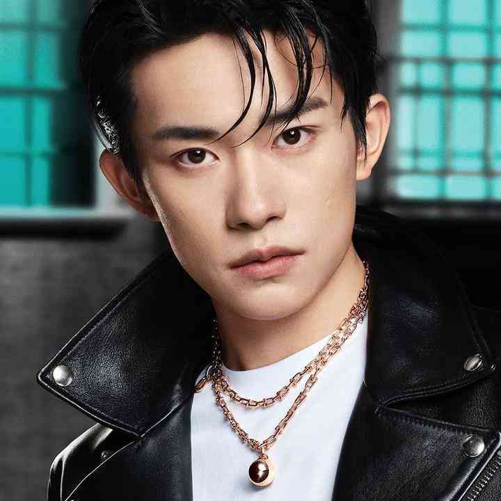 tiffany蒂芙尼項(xiàng)鏈價格(蒂芙尼項(xiàng)鏈多少錢是真的嗎)插圖29