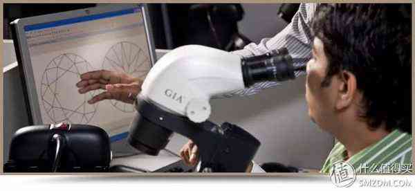 鉆石小鳥(niǎo)怎么樣知乎(鉆石小鳥(niǎo)是真的嗎)插圖9