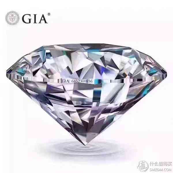 鉆石小鳥(niǎo)怎么樣知乎(鉆石小鳥(niǎo)是真的嗎)插圖21