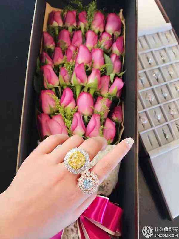 鉆石小鳥(niǎo)怎么樣知乎(鉆石小鳥(niǎo)是真的嗎)插圖26