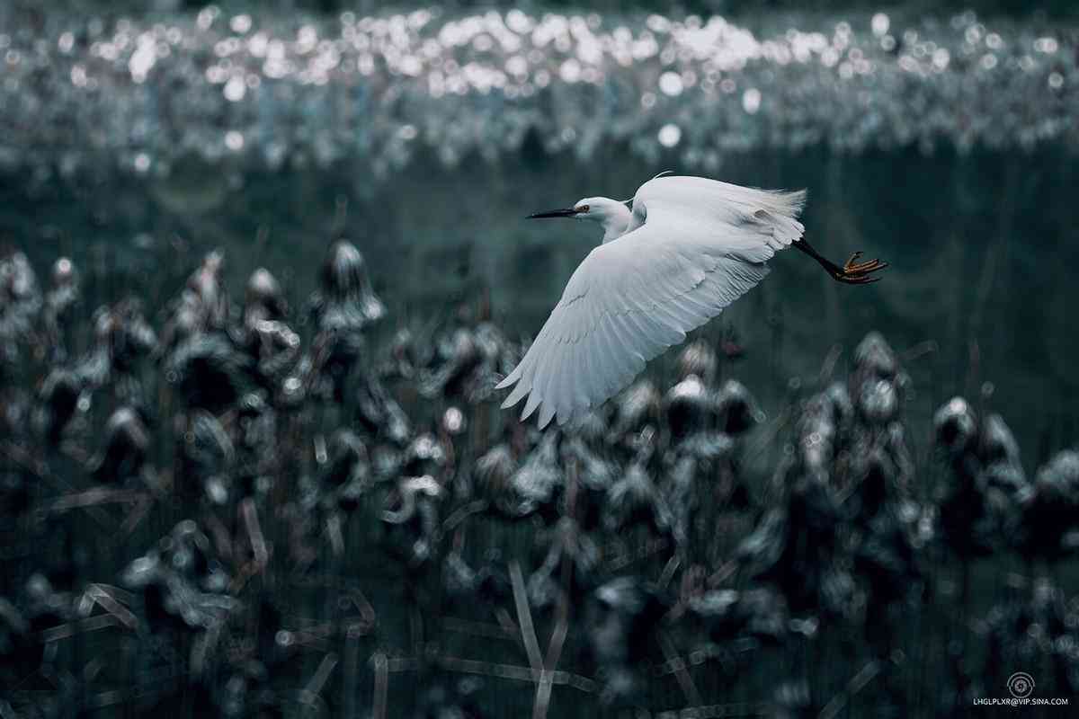 貔貅怎樣佩戴才能進(jìn)財(貔貅怎樣佩戴才能進(jìn)財項鏈)插圖2