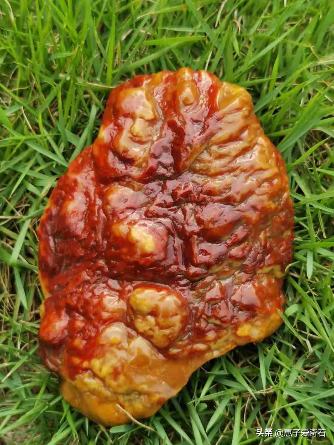 黃蠟石原石價格(黃蠟石原石價格走勢)插圖18