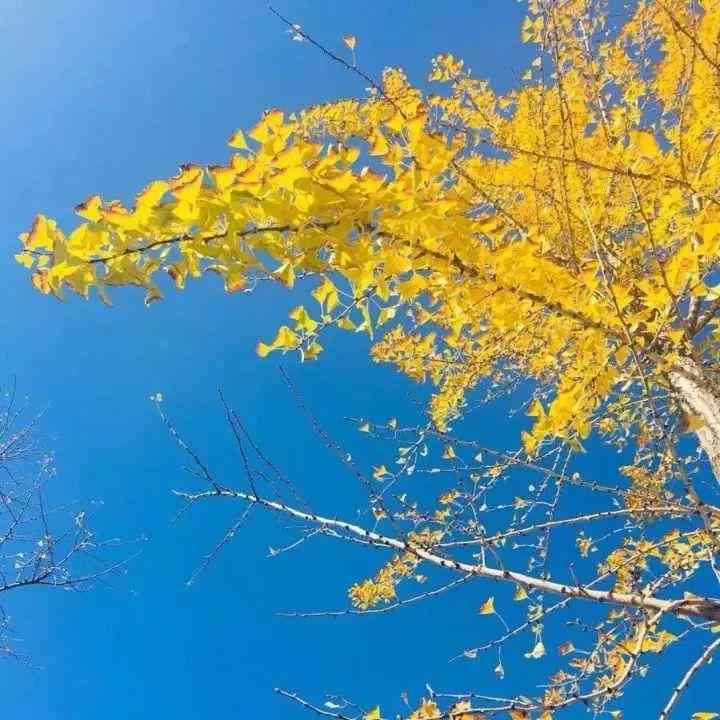 女士帶南紅手串的好處(女士帶南紅手串的禁忌)插圖32