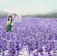 女士帶南紅手串的好處(女士帶南紅手串的禁忌)插圖34