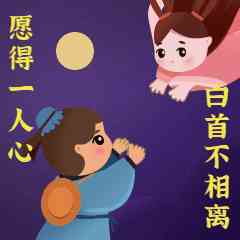 鉆石選擇標準攻略(鉆石的選擇標準)