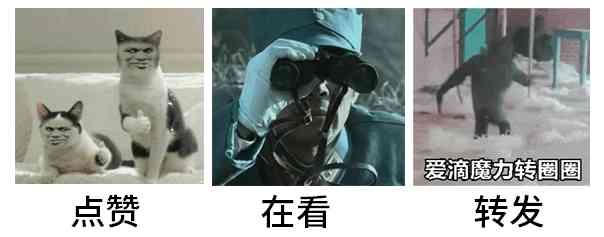 鉆石選擇標準攻略(鉆石的選擇標準)插圖15