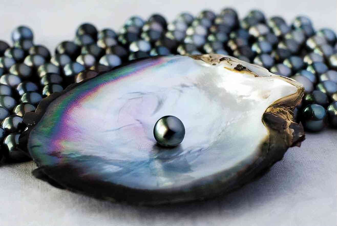 黑珍珠項鏈(黑珍珠項鏈的寓意)插圖4