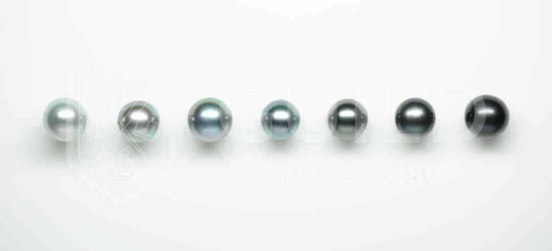 黑珍珠項鏈(黑珍珠項鏈的寓意)插圖8