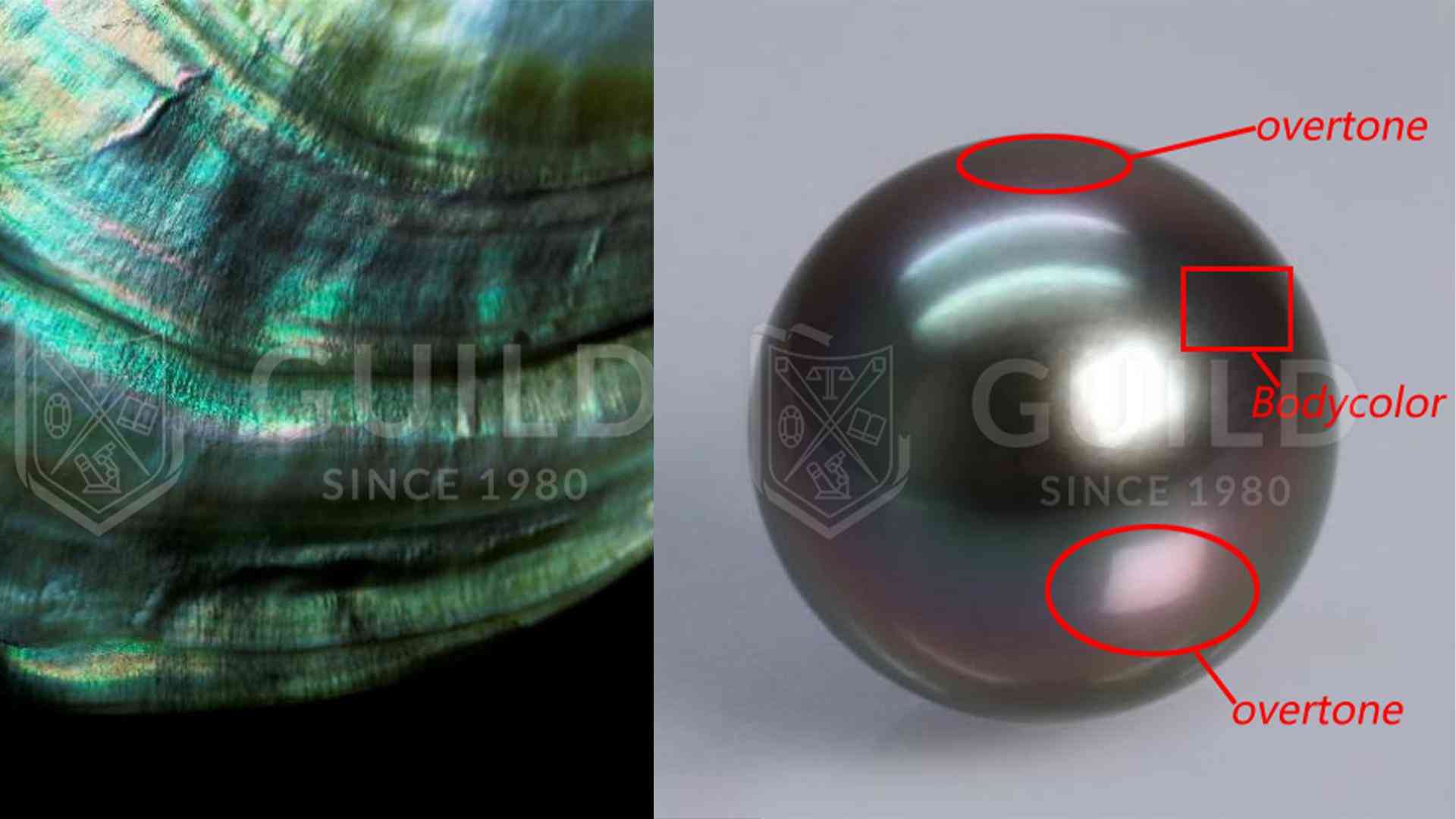 黑珍珠項鏈(黑珍珠項鏈的寓意)插圖9