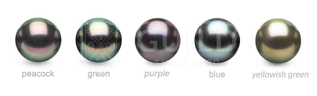 黑珍珠項鏈(黑珍珠項鏈的寓意)插圖10