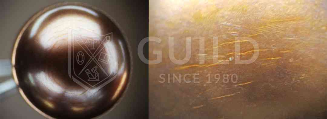 黑珍珠項鏈(黑珍珠項鏈的寓意)插圖11