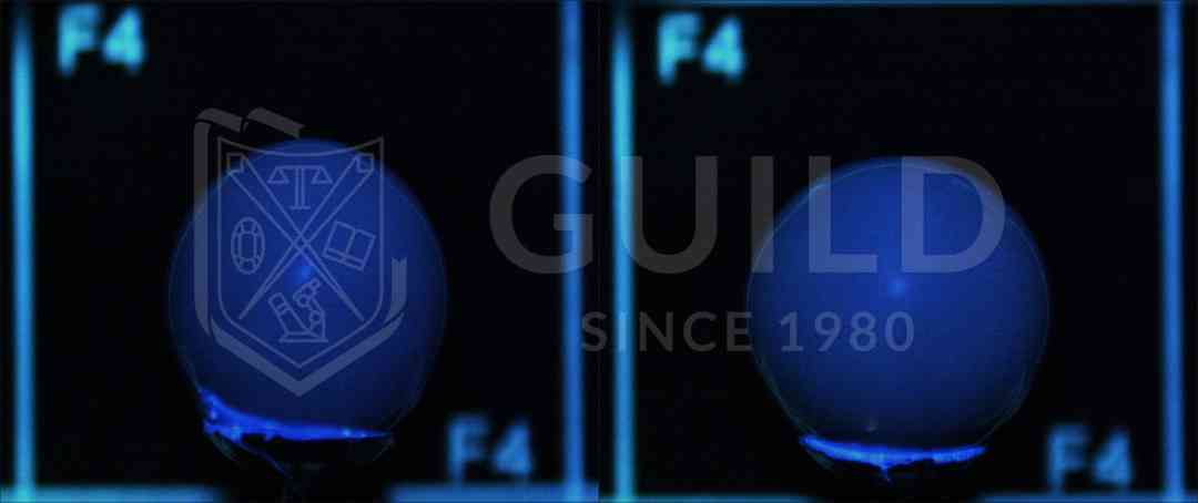 黑珍珠項鏈(黑珍珠項鏈的寓意)插圖13