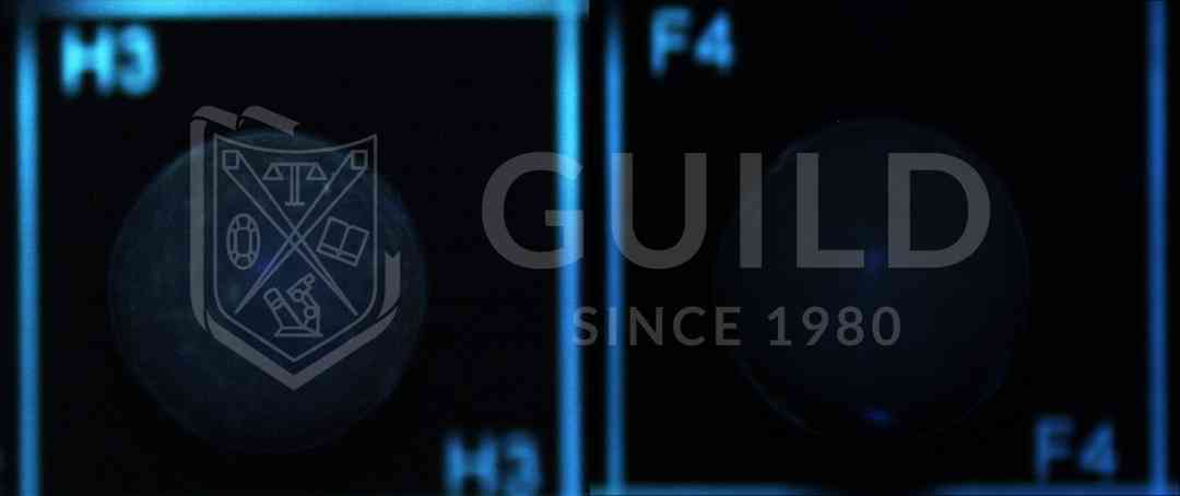 黑珍珠項鏈(黑珍珠項鏈的寓意)插圖14