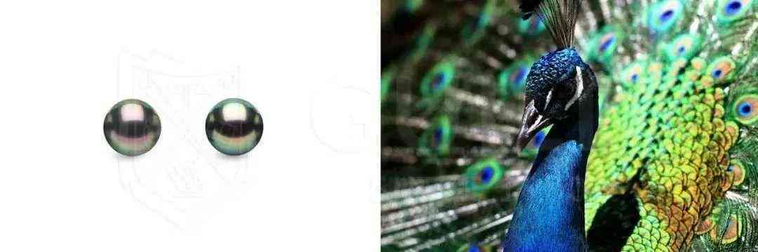 黑珍珠項鏈(黑珍珠項鏈的寓意)插圖21