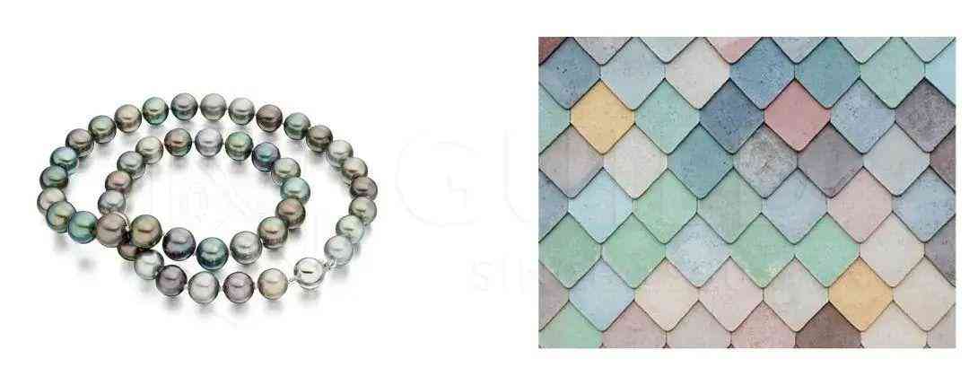 黑珍珠項鏈(黑珍珠項鏈的寓意)插圖24