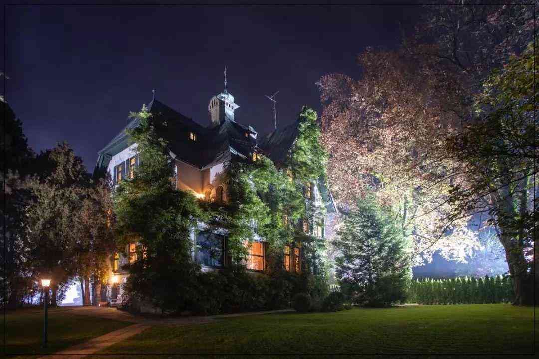 施華洛世奇元素水晶是什么意思(施華洛世奇元素項鏈什么意思)插圖31