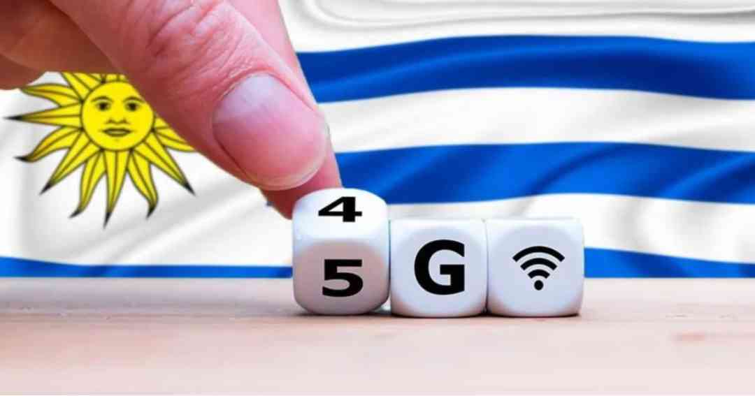 烏拉圭紫水晶800貴嗎(烏拉圭紫水晶800貴嗎值錢嗎)插圖12