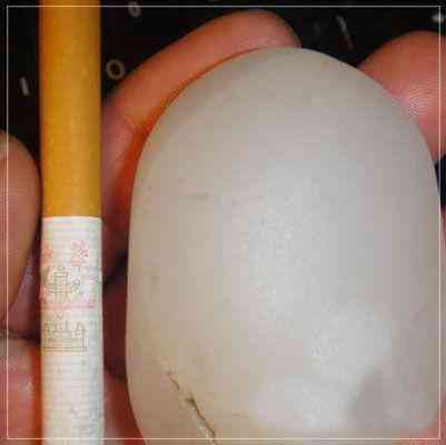 怎么辨別玉的好壞與真假(怎么辨別玉的好壞與真假視頻)插圖2