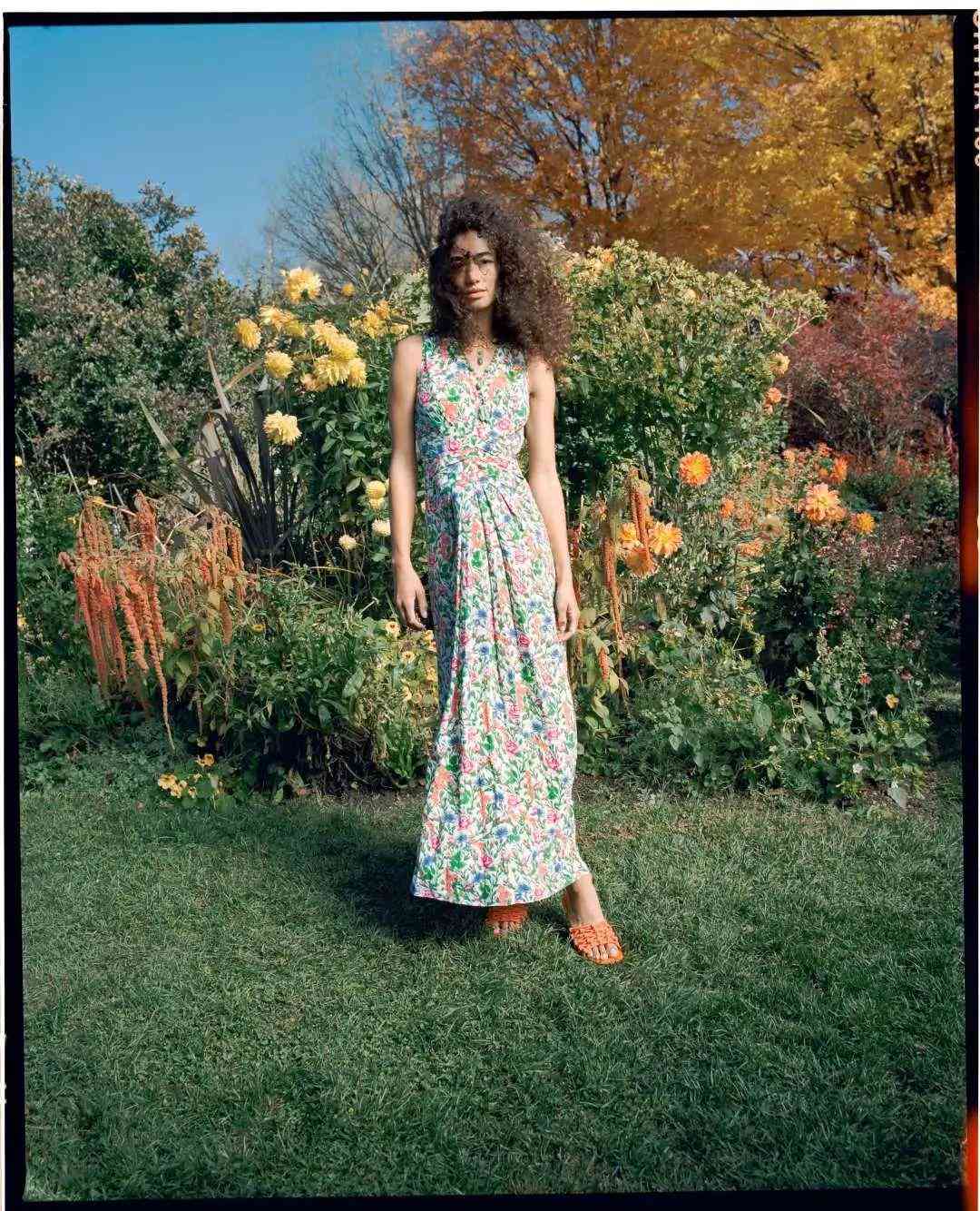 鉆石小鳥鉆石價格(鉆石小鳥鉆石價格是多少)插圖5