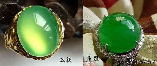 玉髓的價(jià)值(玉髓的價(jià)值高不高)插圖7