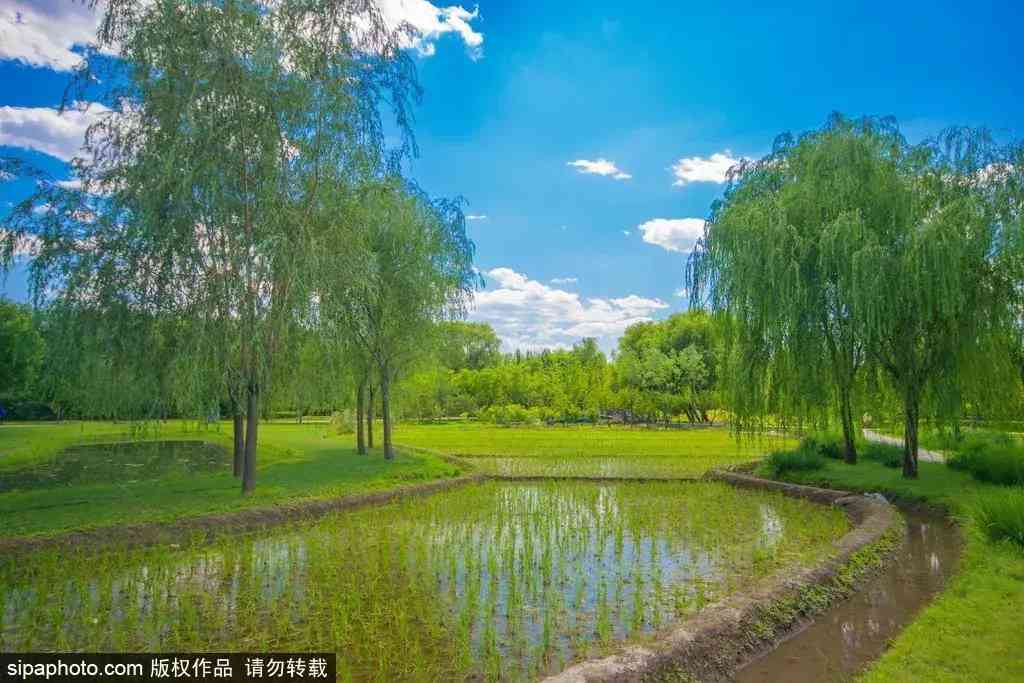 北京哪里買翡翠最放心(北京哪里買翡翠最放心的地方)插圖6