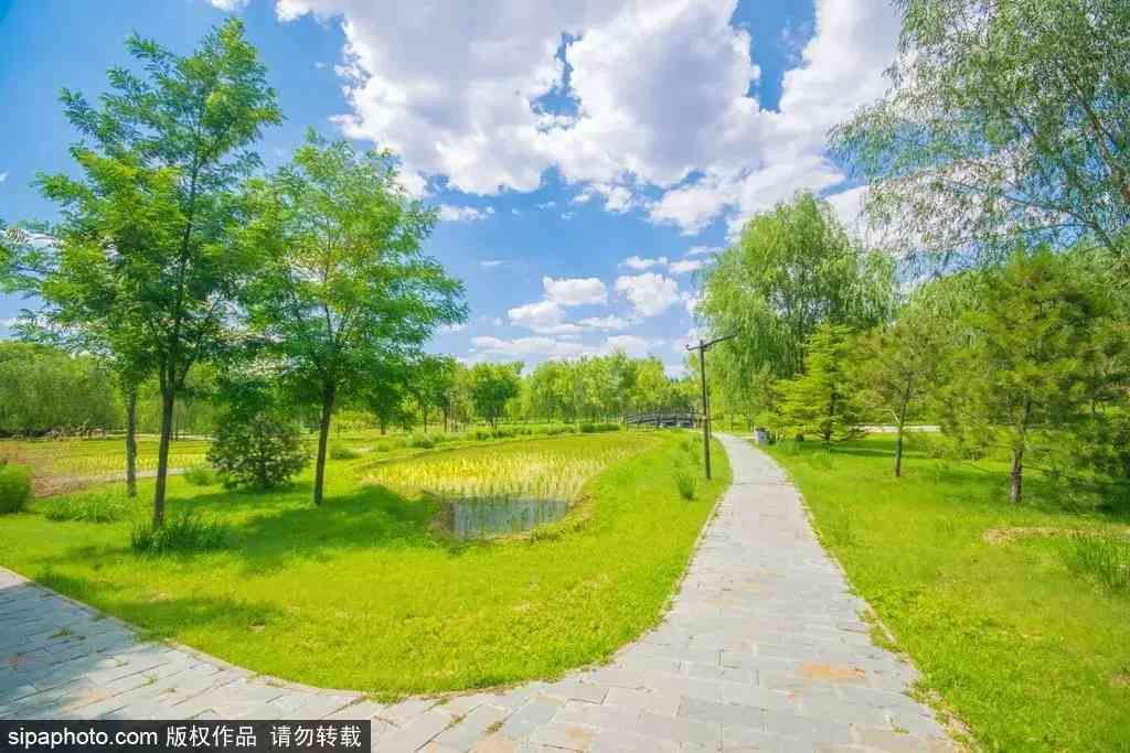 北京哪里買翡翠最放心(北京哪里買翡翠最放心的地方)插圖8