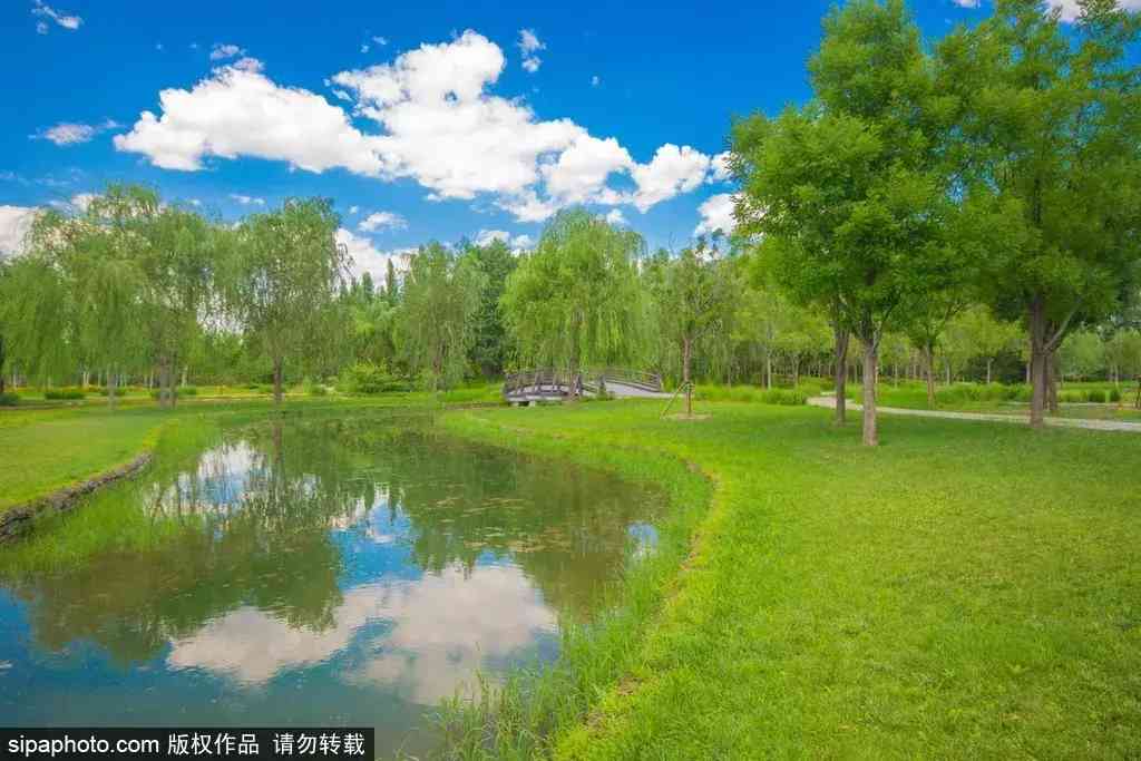 北京哪里買翡翠最放心(北京哪里買翡翠最放心的地方)插圖10