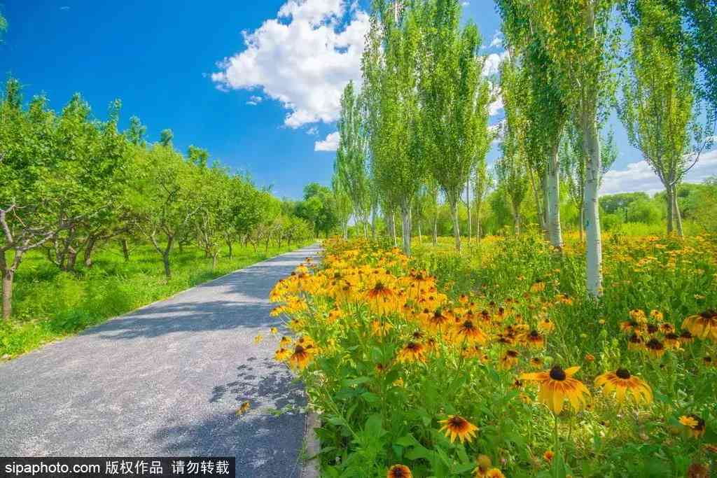 北京哪里買翡翠最放心(北京哪里買翡翠最放心的地方)插圖11