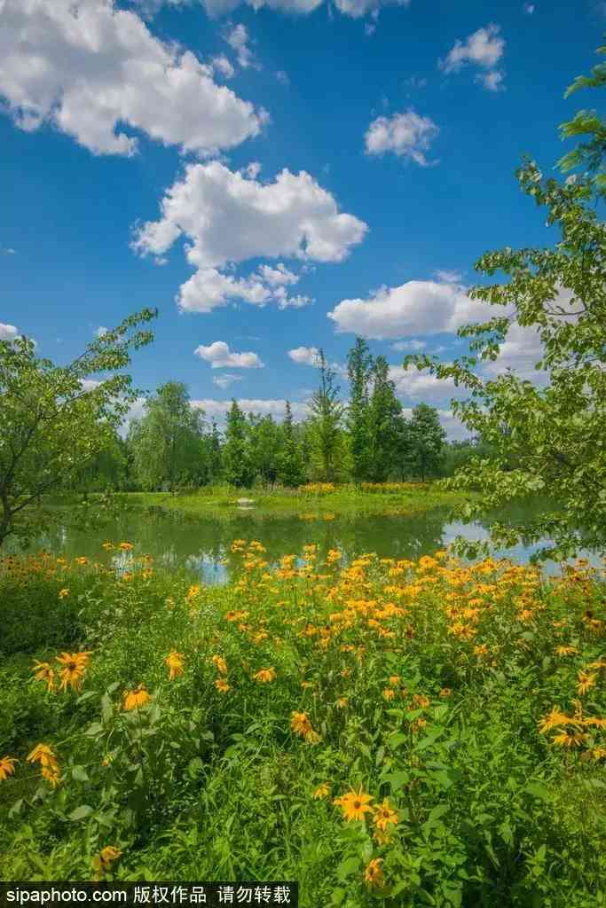 北京哪里買翡翠最放心(北京哪里買翡翠最放心的地方)插圖13