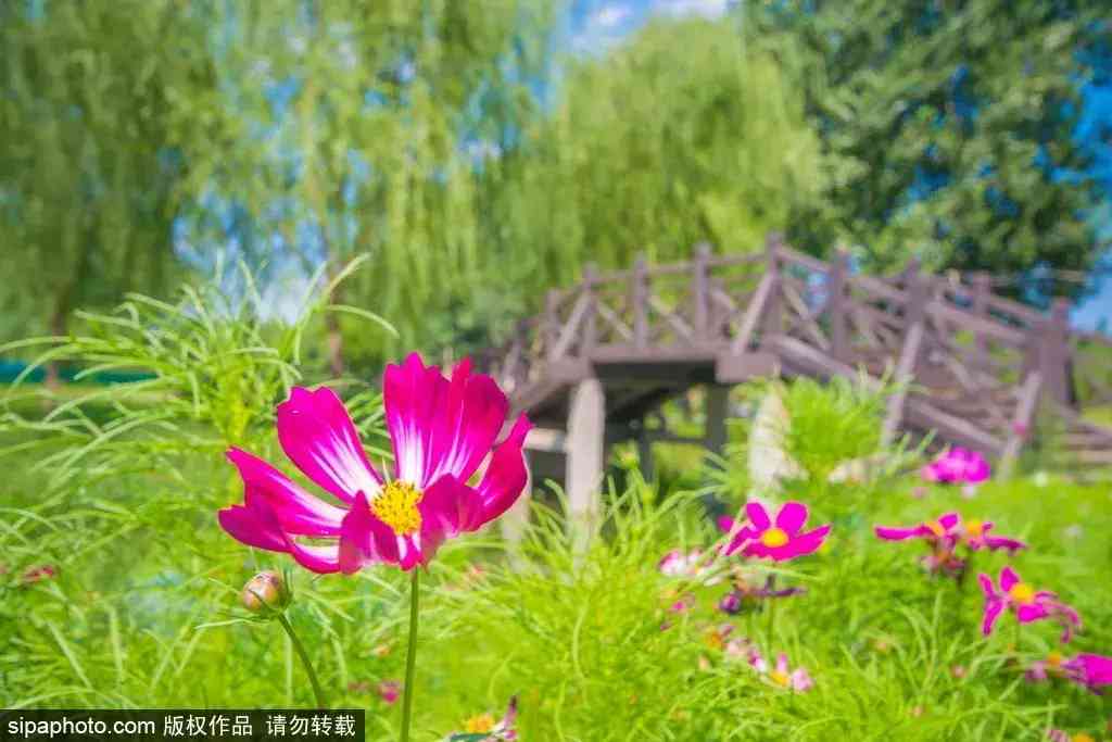 北京哪里買翡翠最放心(北京哪里買翡翠最放心的地方)插圖14