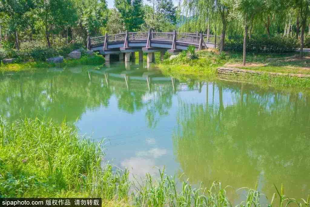 北京哪里買翡翠最放心(北京哪里買翡翠最放心的地方)插圖17