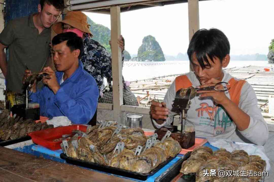 海水黑珍珠價(jià)格多少一顆(海水黑珍珠價(jià)格多少一顆啊)插圖4