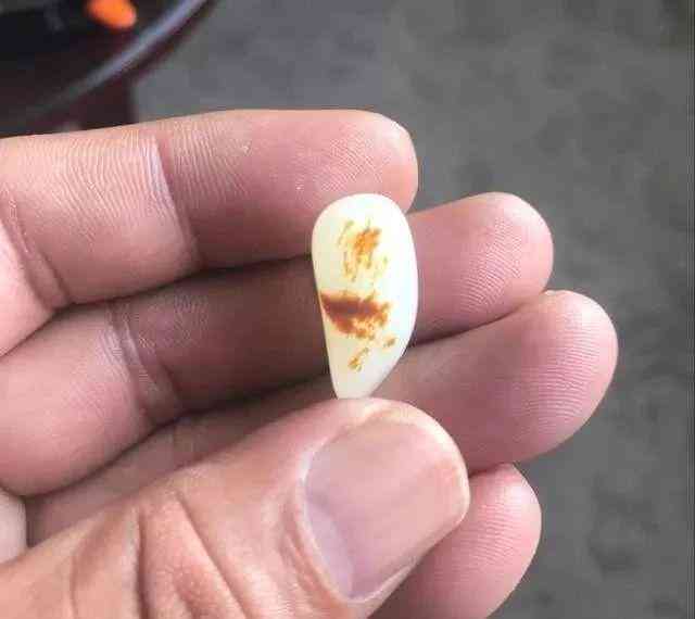 和田玉籽料值錢嗎(青海和田玉籽料值錢嗎)插圖5