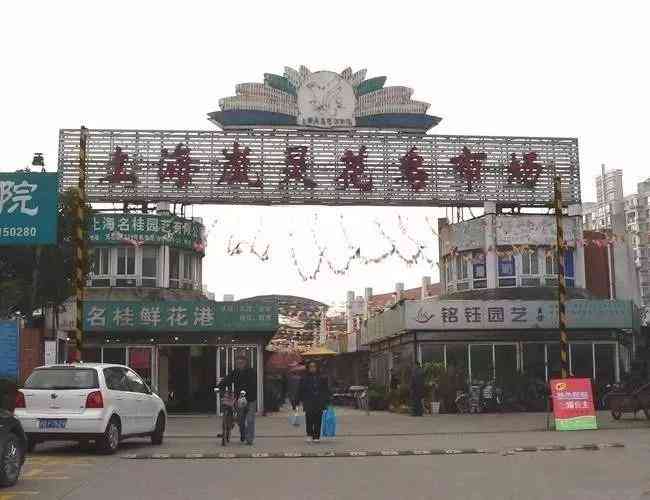 中國(guó)哪里可以撿到翡翠原石(中國(guó)哪里可以撿到翡翠原石的地方)插圖3