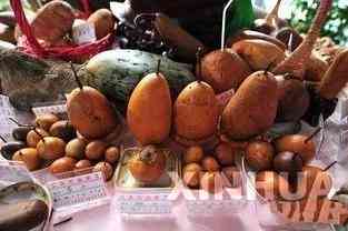 中國(guó)哪里可以撿到翡翠原石(中國(guó)哪里可以撿到翡翠原石的地方)插圖20