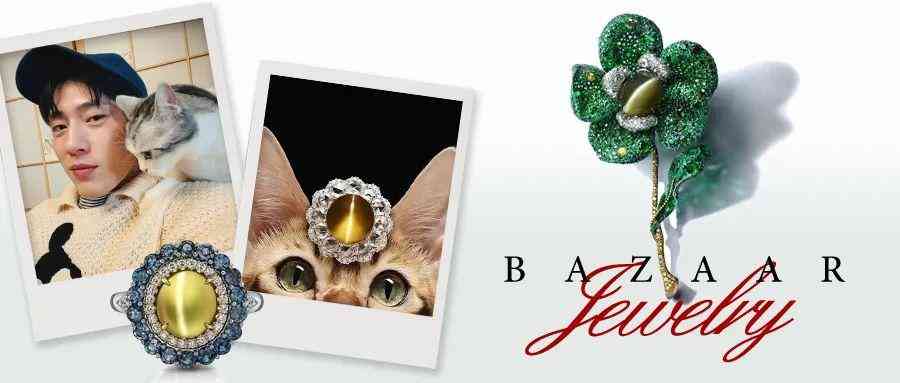 貓眼石手串多少錢(貓眼石手鐲一般多少錢)