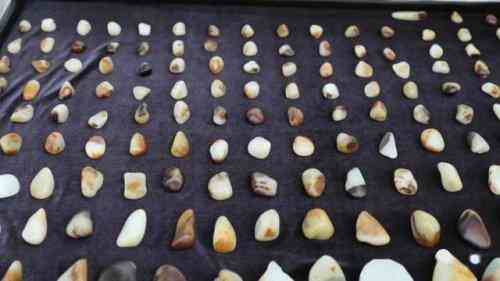 和田籽料皮子真假辨別(和田籽料皮子真假辨別視頻)