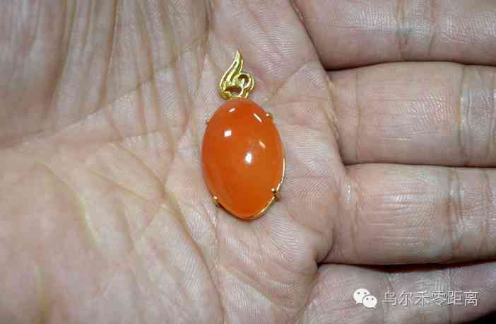 金絲玉養(yǎng)人嗎(金絲玉養(yǎng)人嗎能養(yǎng)活嗎)