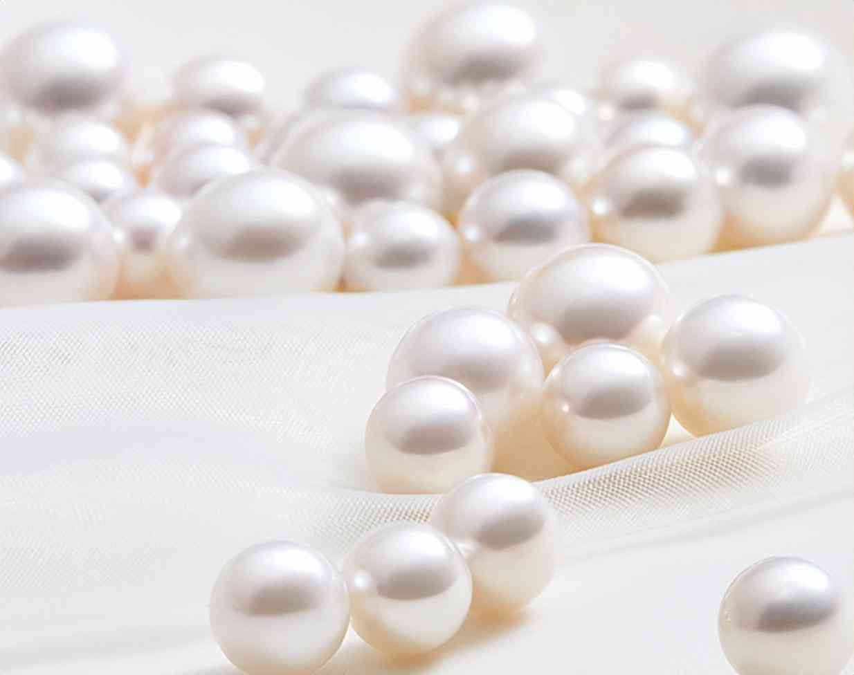 黑珍珠的寓意(龍血樹黑珍珠的寓意)