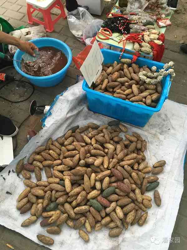 千眼菩提子的作用與功效(菩提子的作用與功效)