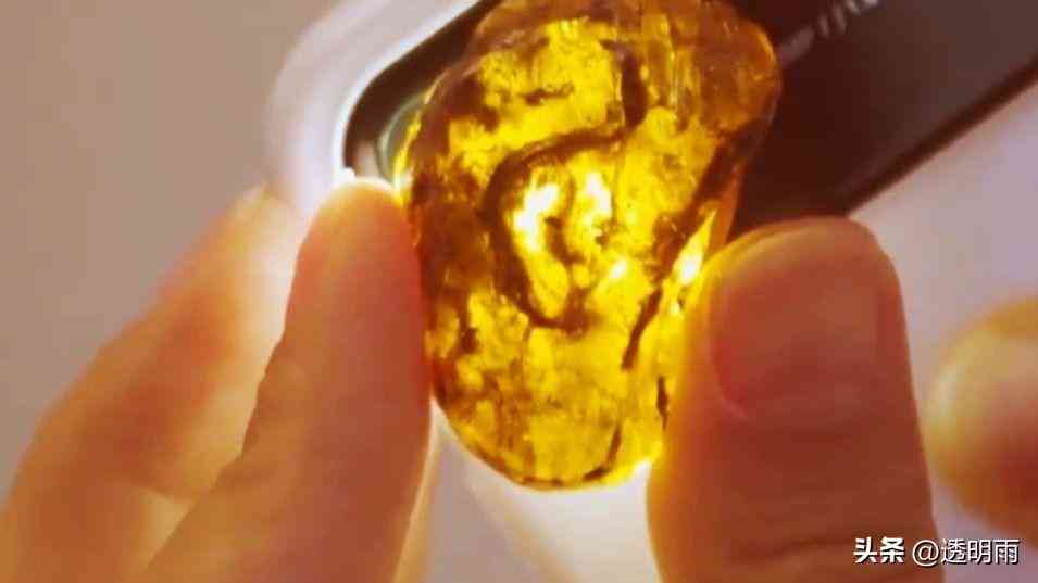 琥珀形成的條件(琥珀形成的條件是什么四年級)