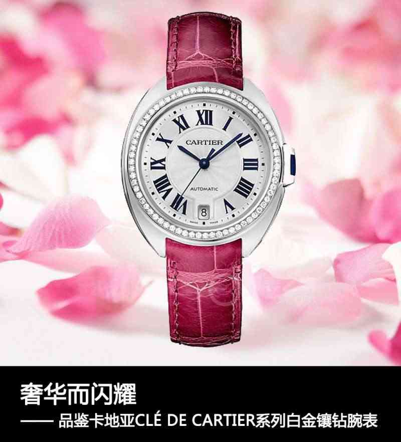 卡地亞帶鉆手表女(卡地亞帶鉆手表女白)