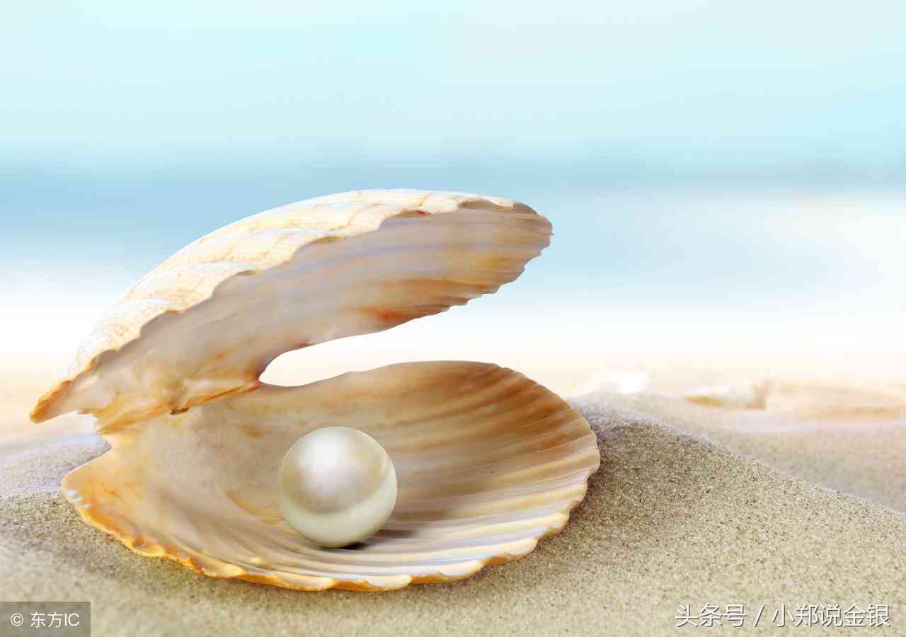 珍珠怎么辨別真假(金色珍珠怎么辨別真假)