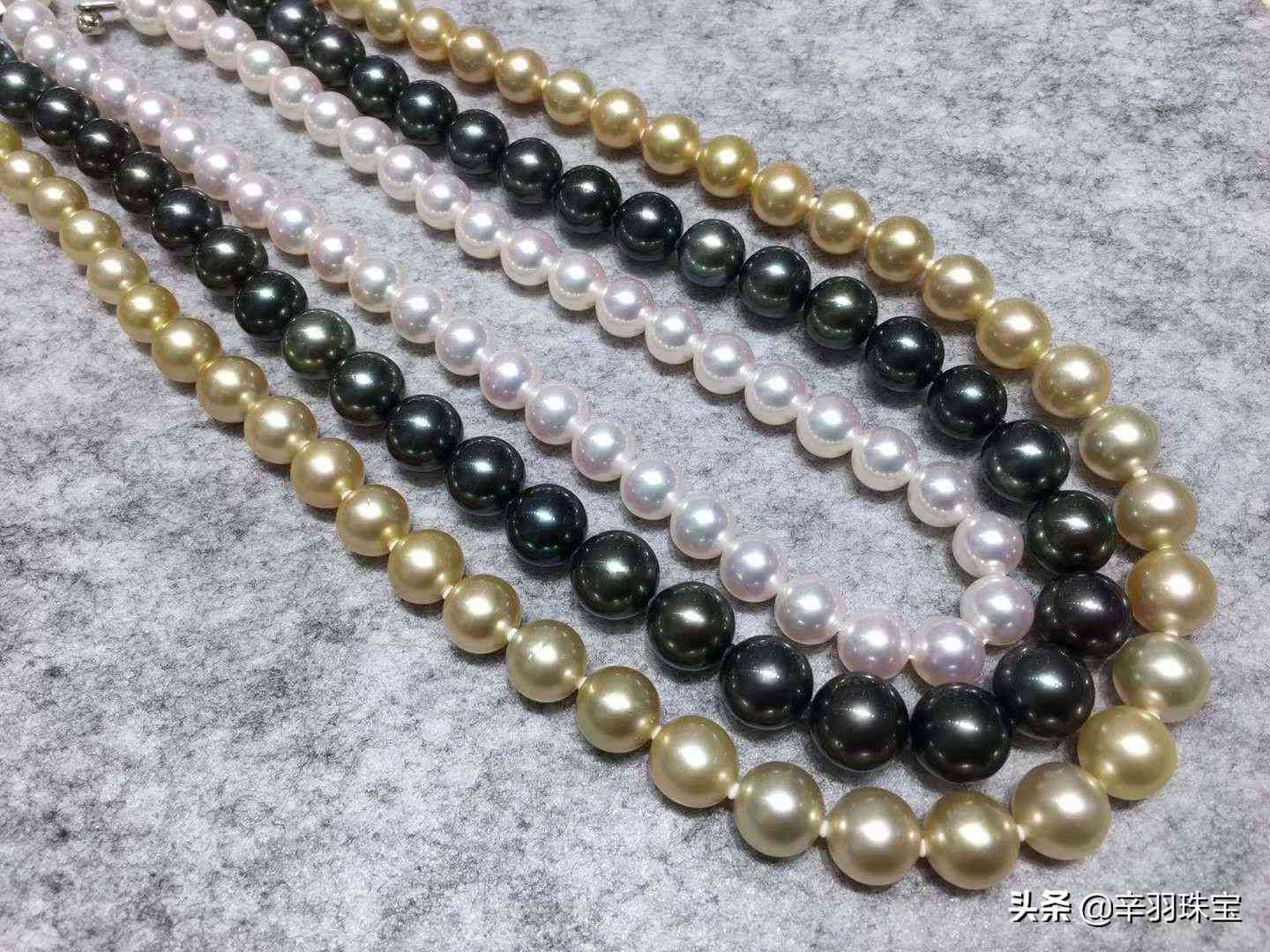 小珍珠項鏈價格一般多少錢一條(小珍珠項鏈價格一般多少錢一條圖片)
