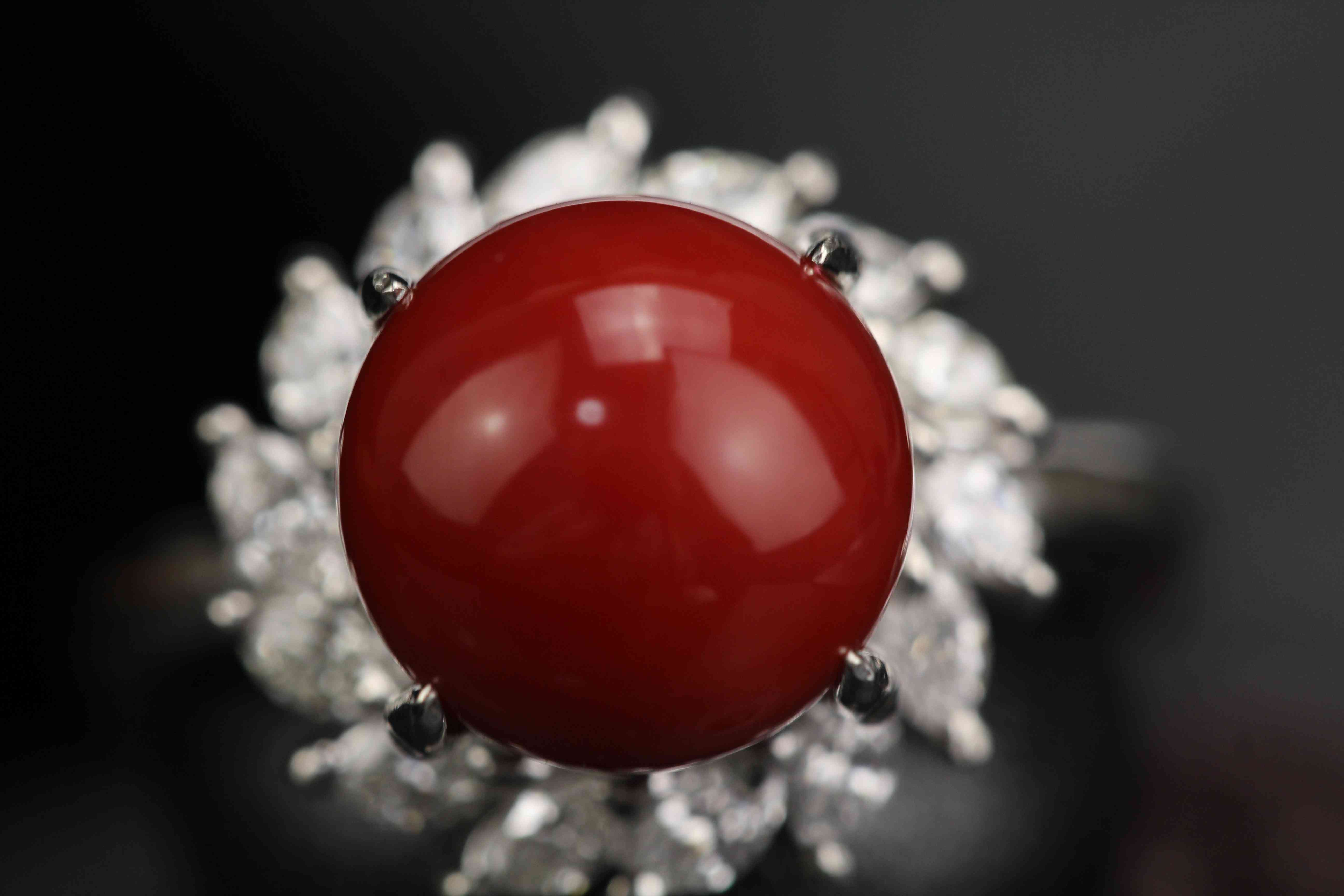 紅珊瑚手鏈一般什么價位(印尼紅珊瑚手鏈一般什么價位)