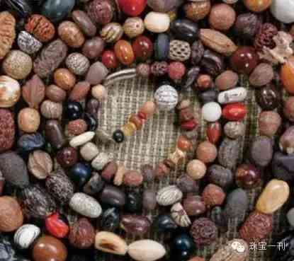 70種菩提子大全(菩提子大全圖片)